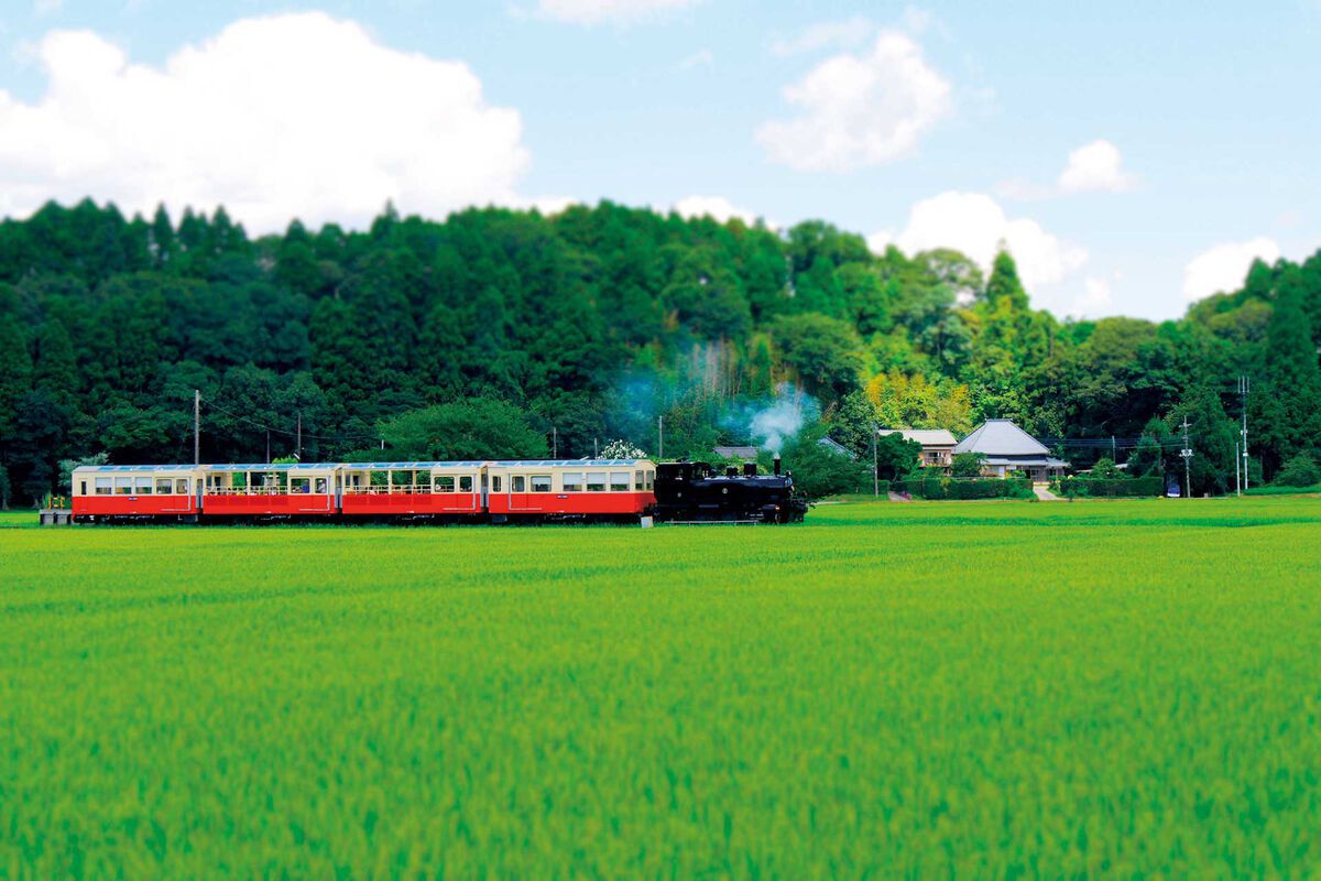 3511小湊鐵道｜里山トロッコ列車