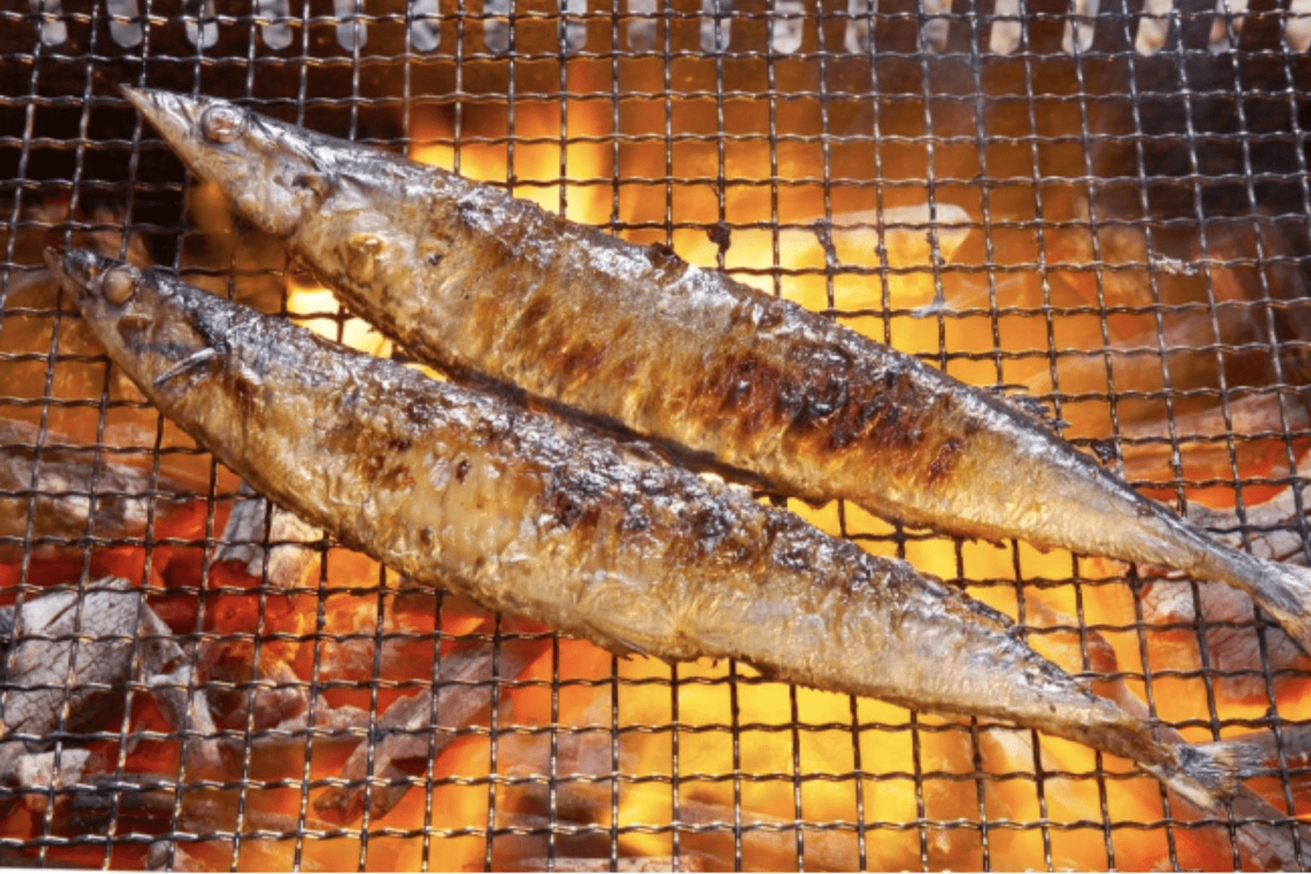 5074脂たっぷり。葛西臨海公園でジューシーな秋刀魚を味わう秋限定BBQプラン