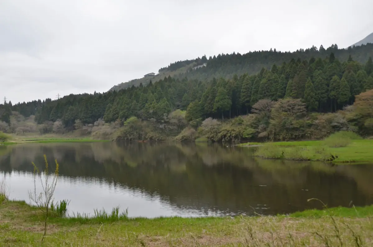 箱根の関所を目前に、古から旅人を癒した憩いの場「甘酒茶屋」（神奈川 