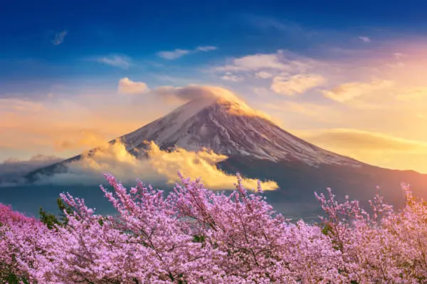 今は自宅でエア花見を 息を呑む美しさで咲き誇る 桜の名所 絶景スポット集 男の隠れ家デジタル