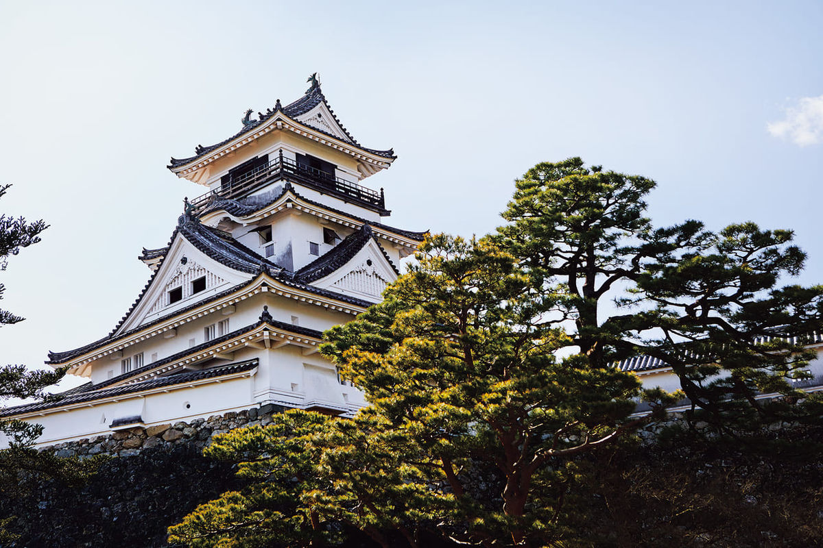 14946プロの案内人から学ぶ、土佐国「高知城」とは？｜高知県高知市・日本で唯一本丸建築群が全て現存する南海道の名城