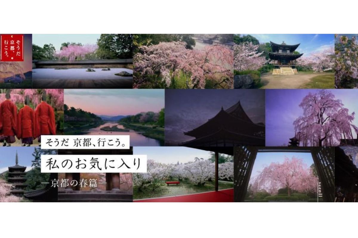 【2020春】「そうだ 京都、行こう。私のお気に入りー京都の春篇ー」。桜を楽しむ特別プランや初代旅人・長塚京三さんのスペシャルコンテンツ公開のアイキャッチ