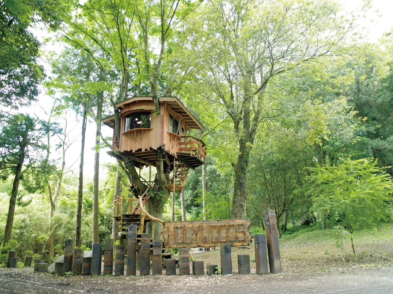 ケヤキの成長木に建てられたツリーハウス。自然を満喫できる「ホウリー