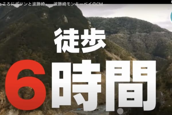 コロナ終息後には野生のお猿と 密会 密着 密集 の三密だっ 野生の猿の楽園 波勝崎モンキーベイ 静岡県 南伊豆町 年5月7日オープン 男の隠れ家デジタル