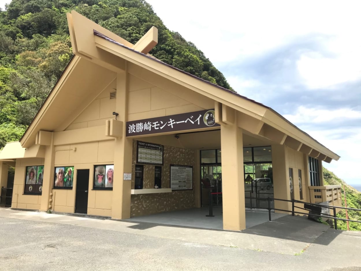 コロナ終息後には野生のお猿と 密会 密着 密集 の三密だっ 野生の猿の楽園 波勝崎モンキーベイ 静岡県 南伊豆町 年5月7日オープン 男の隠れ家デジタル