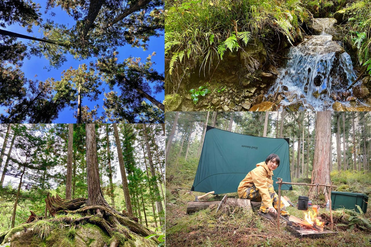 31589キャンプ用森林レンタル「forenta」300坪を年間6万円で借りられる！ワーケーションにも使えるかも？