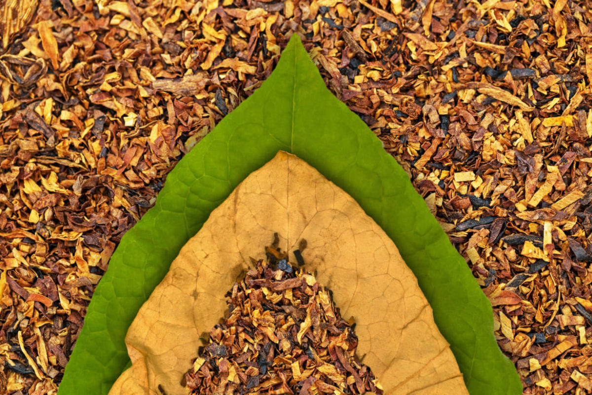 「ピース・オリジン・オブ・バージニア・リーフ」にはバージニア産の葉が100%使われている。