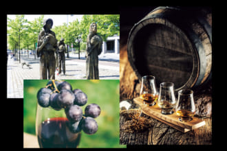 「ブレンデッドウイスキー、ブドウ畑の害虫被害 スコッチの躍進とアイリッシュウイスキーの栄枯盛衰（19世紀～20世紀）｜whisky History」のアイキャッチ画像