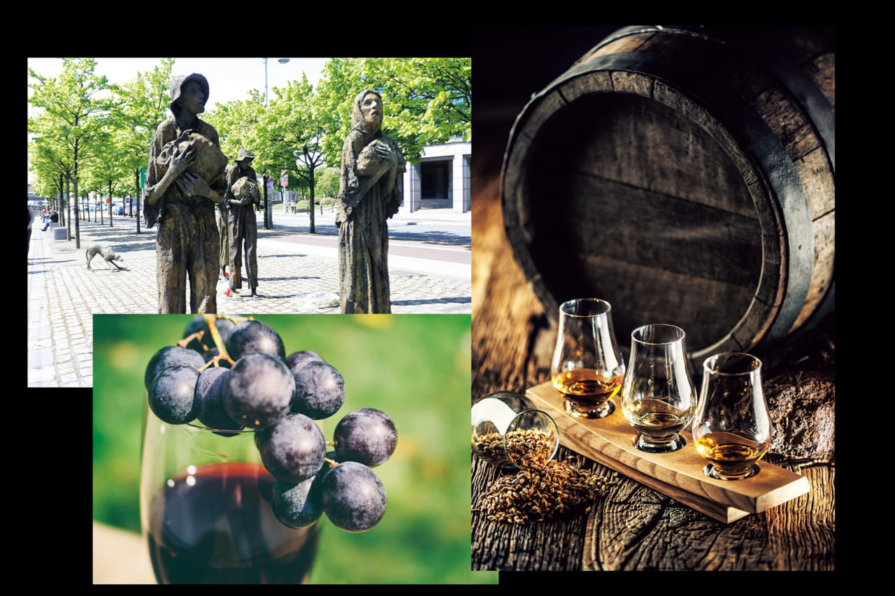 41627ブレンデッドウイスキー、ブドウ畑の害虫被害 スコッチの躍進とアイリッシュウイスキーの栄枯盛衰（19世紀～20世紀）｜whisky History