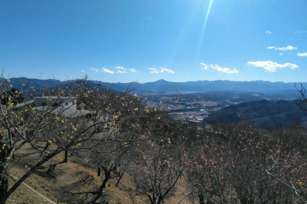 秩父長瀞の霊峰 宝登山 をゆく 関東屈指の観光地に 近代日本を創った渋沢栄一の英断があった 山と景色と歴史の話 男の隠れ家デジタル