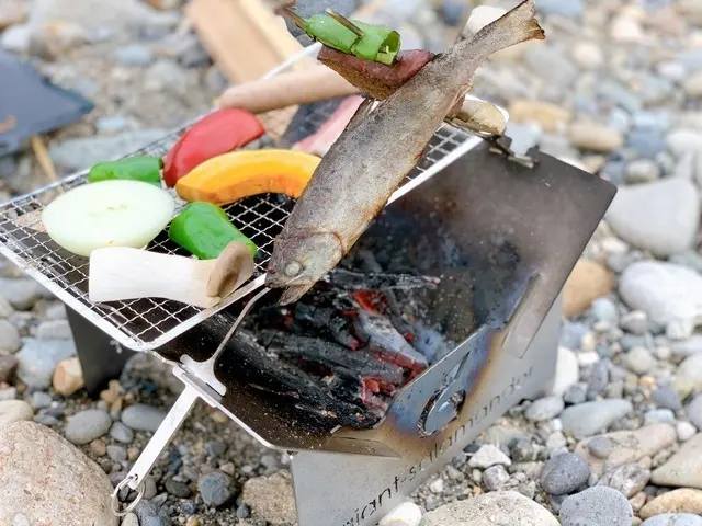 鮎たも 3本まとめ売り 魚を美味しく串焼き！3本の串と