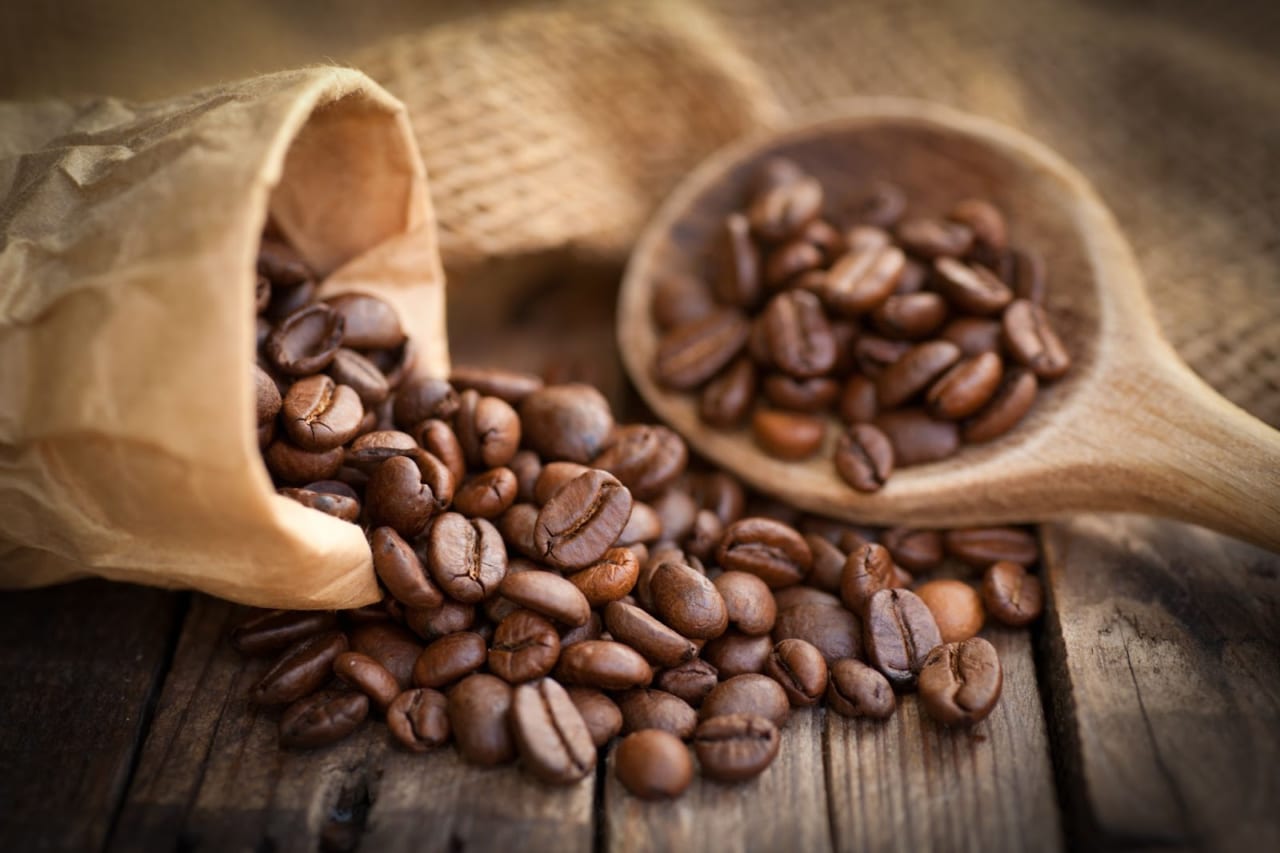 52299コーヒーの高級品種「ゲイシャ」。特別とされる理由とおすすめの楽しみ方を紹介