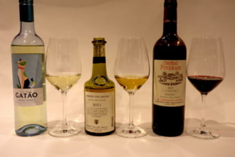 「赤や白だけじゃない。緑ワイン、黄ワイン、黒ワイン…あなたはカラフルワインを知っているか？」のアイキャッチ画像