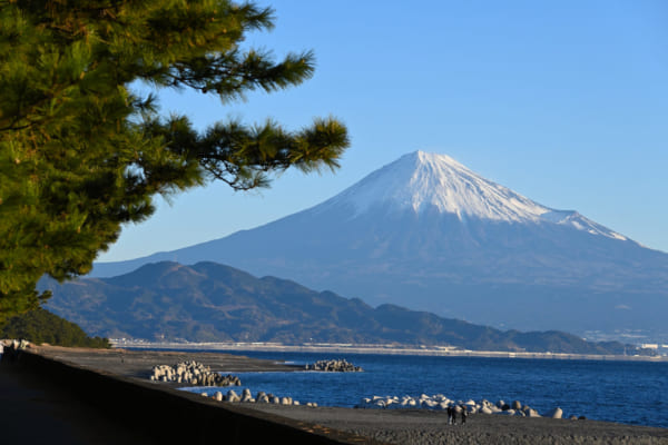 日本で初めて旅ブームを巻き起こした「東海道中膝栗毛」と「東海道五十三次」。弥次さん喜多さんの足跡を辿る（STORY #094）