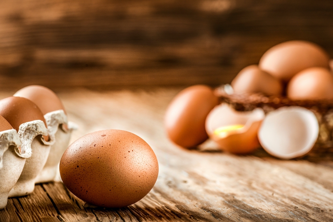 71958どうして海外の生卵は食べたらいけないの？ 日本と海外における衛生管理体制の違い