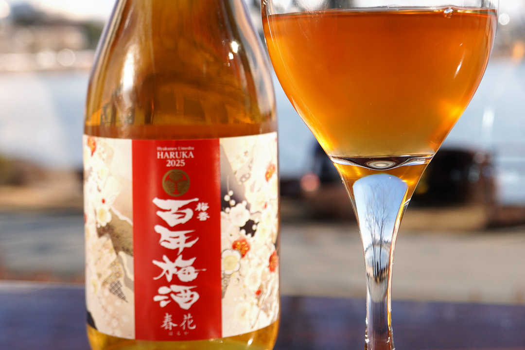 101896日本一に輝いた梅酒の“ヌーボー”「百年梅酒 春花 2025」新発売！