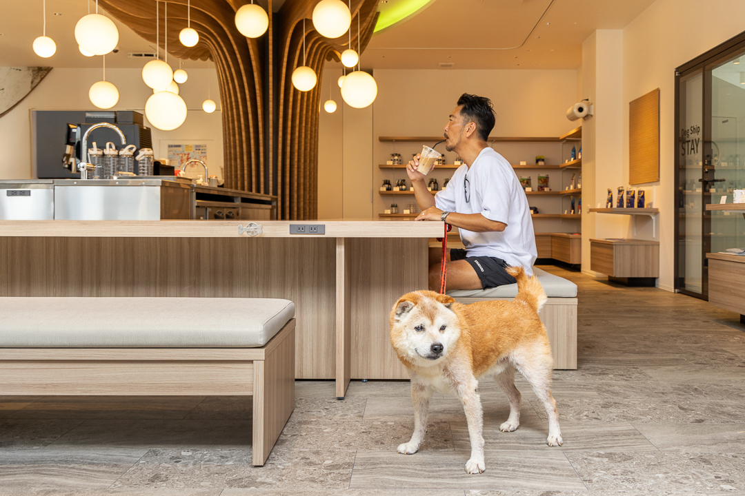 105620インドアもアウトドアも！「愛犬とともに楽しむ 和歌山旅」｜INDOOR HOTEL STAY