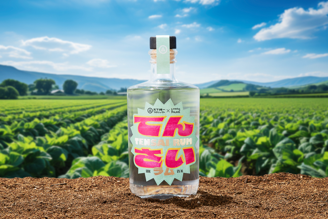 107913北海道発！「てん菜糖蜜」を活用したエシカルなラム酒『てんさいラム』誕生
