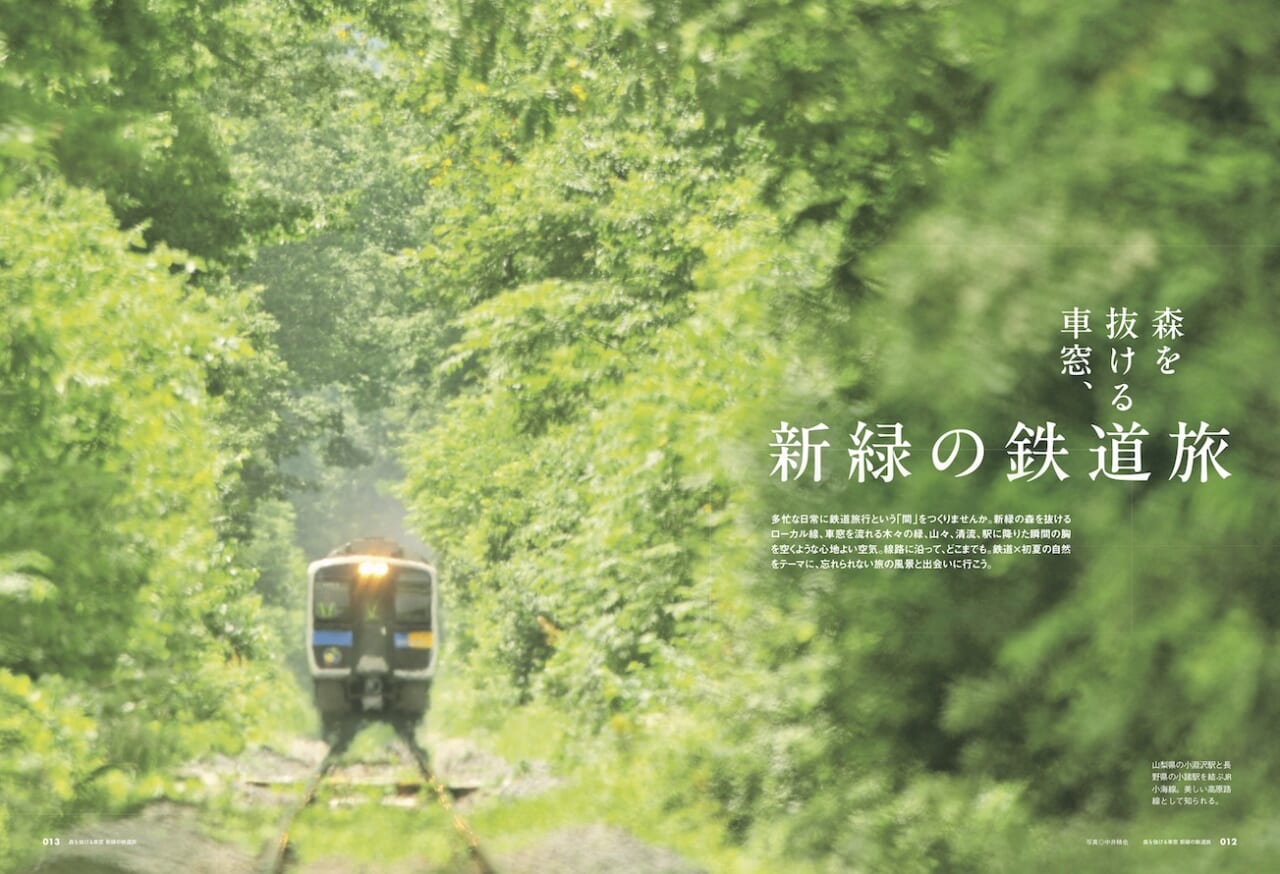 108371美しい緑、木漏れ日に包まれて深呼吸。「新緑の鉄道旅」